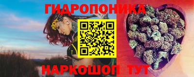 2c-b Гусиноозёрск