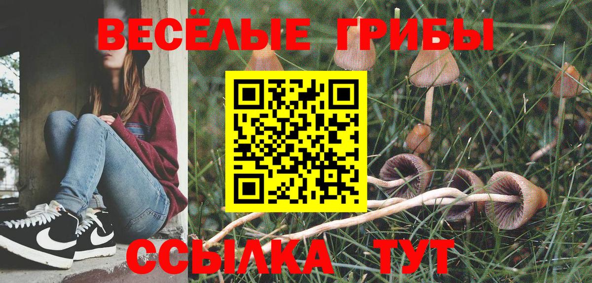 Галлюциногенные грибы мицелий  Вход с VPN  Лесосибирск  Галлюциногенные грибы Psilocybe 